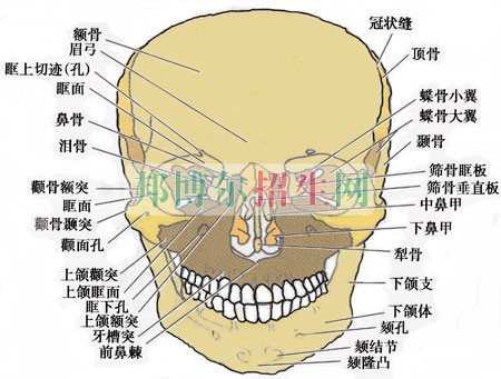 男生讀口腔醫(yī)學(xué)怎么樣