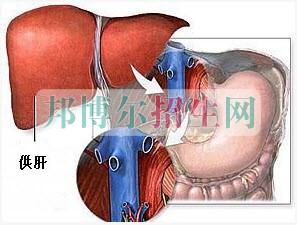 成都高中生讀麻醉學怎么樣