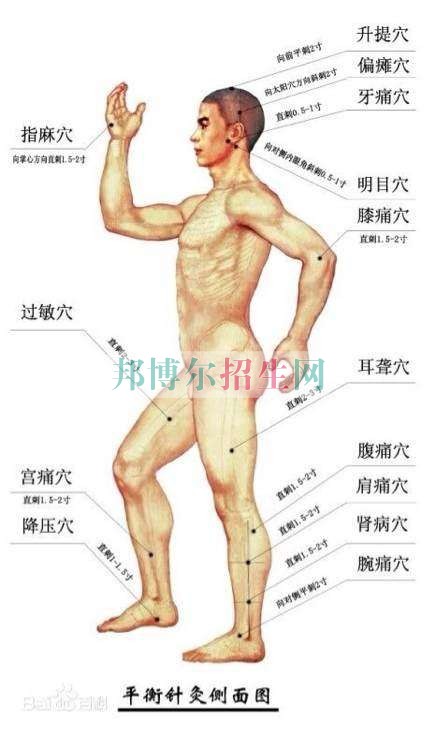 成都大專學(xué)校有哪些有針灸推拿