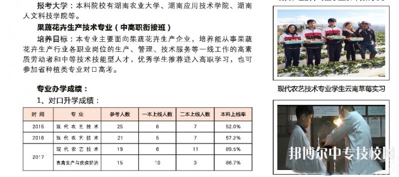 湖南桃花源高級技工學(xué)校電子信息專業(yè)群介紹