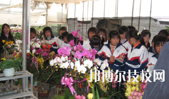 臨夏農(nóng)業(yè)學(xué)校2020年招生錄取分數(shù)線