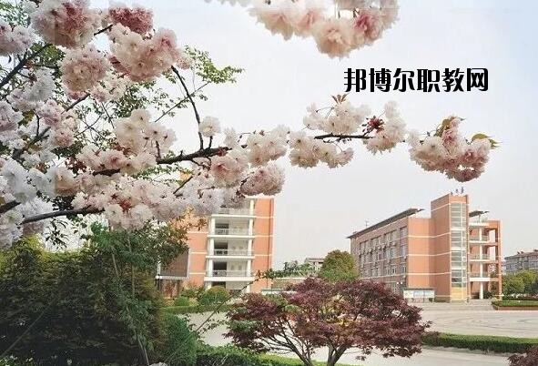 桐鄉(xiāng)衛(wèi)生學(xué)校2020年報(bào)名條件、招生要求、招生對象