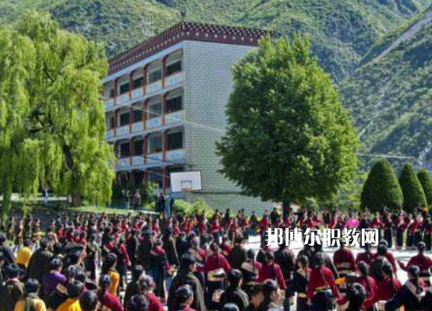 四川省藏文學校2022年報名條件、招生要求、招生對象