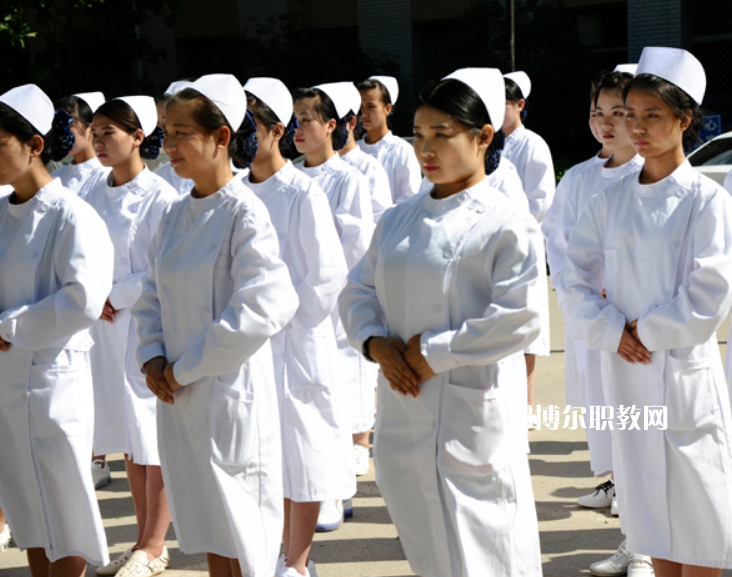 石家莊和平醫(yī)學中等專業(yè)學校2022年招生錄取分數(shù)線