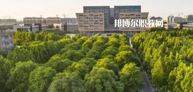 2023山東十大?？茖W(xué)校名單及排行榜